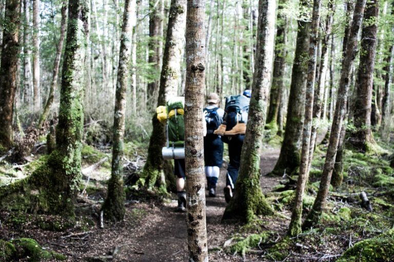 Unconventional Ways to Experience the Great Outdoors