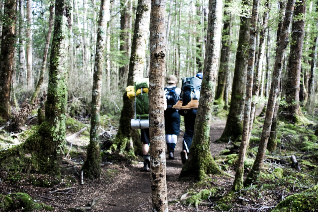 Unconventional Ways to Experience the Great Outdoors