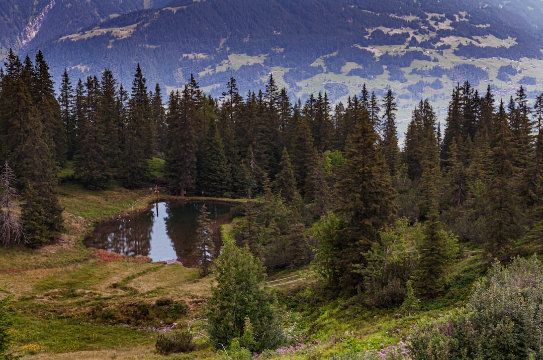 Unleashing the Wanderlust: Embracing Adventure in the Great Outdoors
